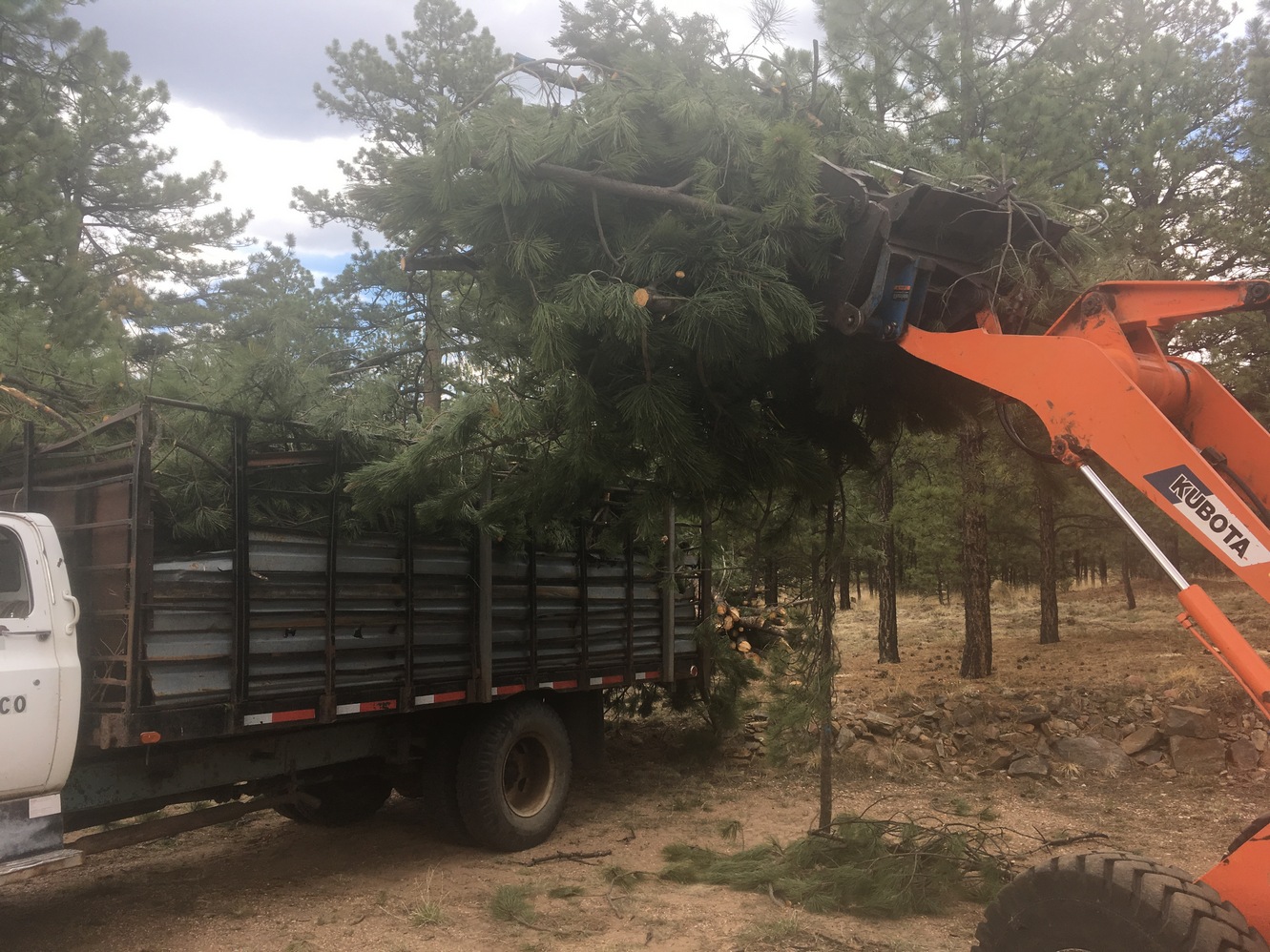 photo of loading slash to dump truck